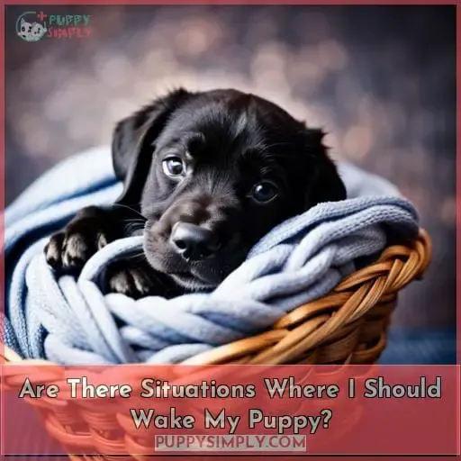 Are There Situations Where I Should Wake My Puppy?