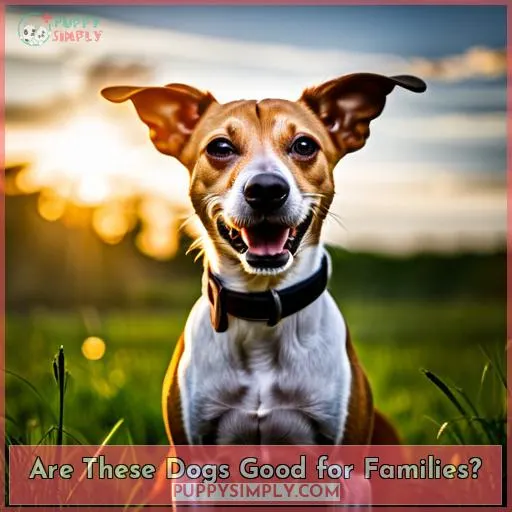 Are These Dogs Good for Families?