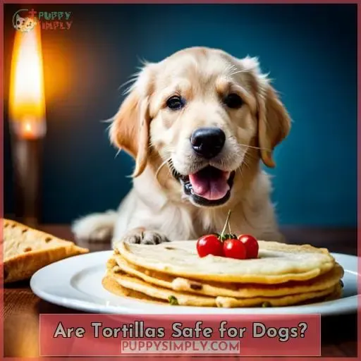 Are Tortillas Safe for Dogs