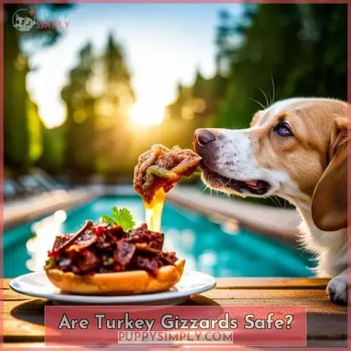 Are Turkey Gizzards Safe?