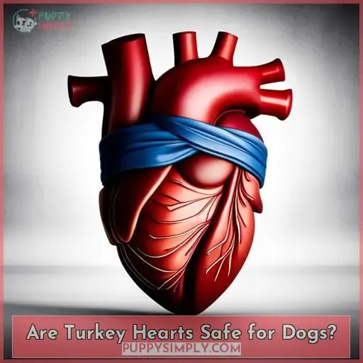 Are Turkey Hearts Safe for Dogs