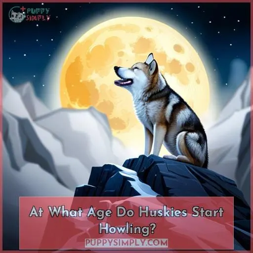 At What Age Do Huskies Start Howling?