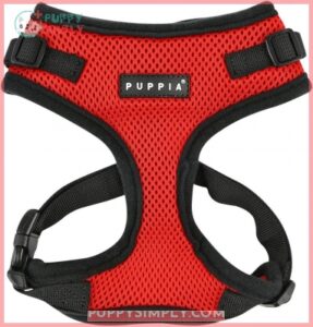 Authentic Puppia RiteFit Harness with B005CTGC7O