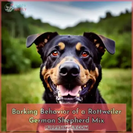 Barking Behavior of a Rottweiler German Shepherd Mix