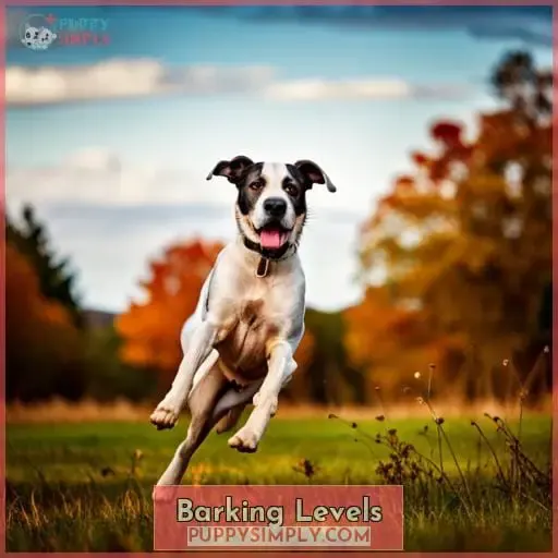 Barking Levels