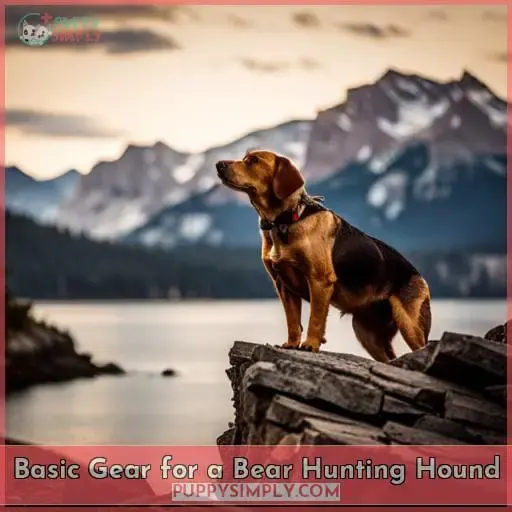 Basic Gear for a Bear Hunting Hound
