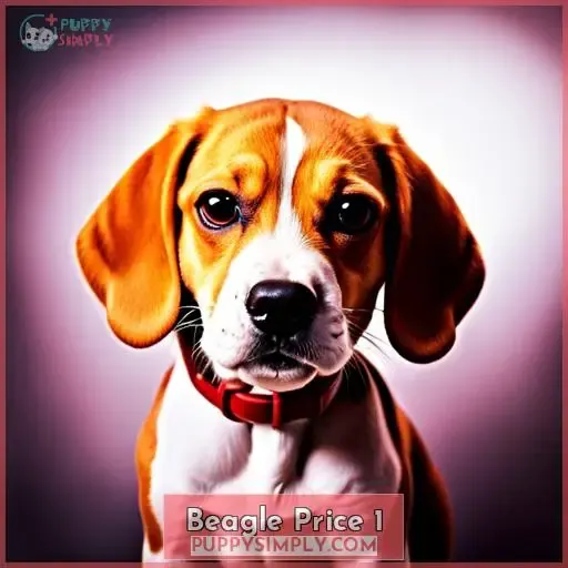 beagle price 1