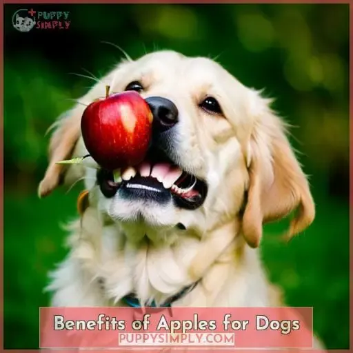 Benefits of Apples for Dogs