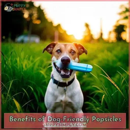 Benefits of Dog-Friendly Popsicles
