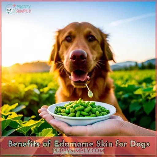 Benefits of Edamame Skin for Dogs