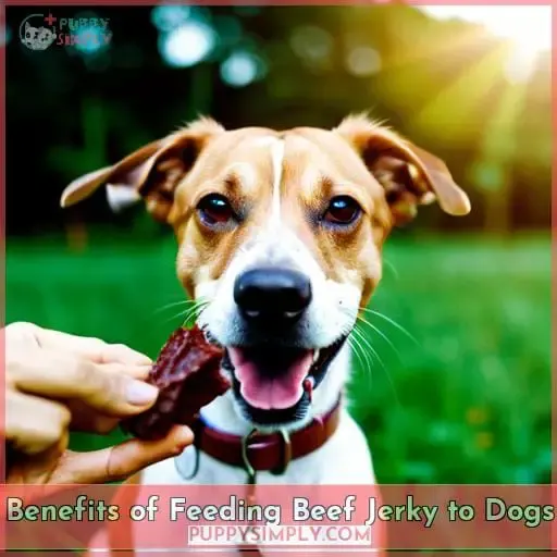 Benefits of Feeding Beef Jerky to Dogs