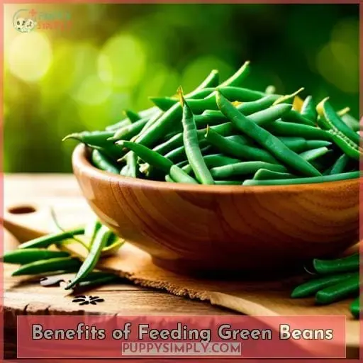 Benefits of Feeding Green Beans