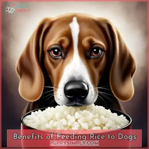 Benefits of Feeding Rice to Dogs