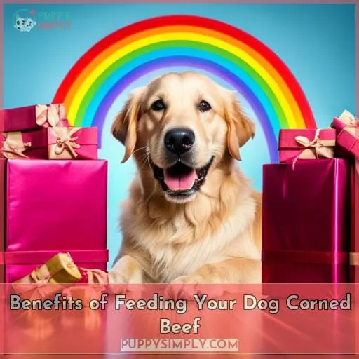 Benefits of Feeding Your Dog Corned Beef