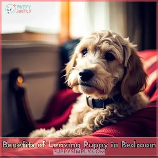 Benefits of Leaving Puppy in Bedroom