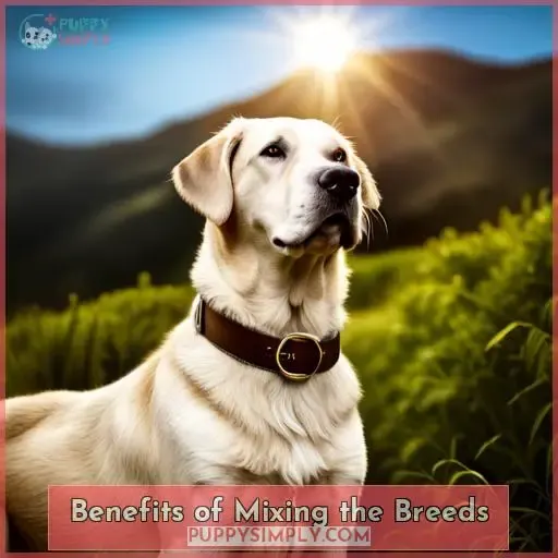 Benefits of Mixing the Breeds