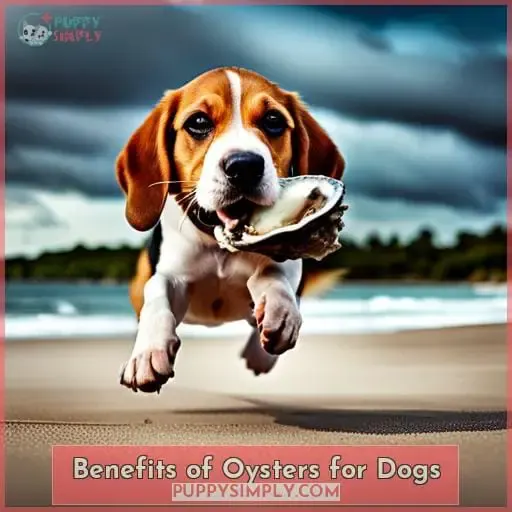 Benefits of Oysters for Dogs