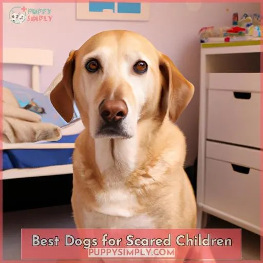 Best Dogs for Scared Children