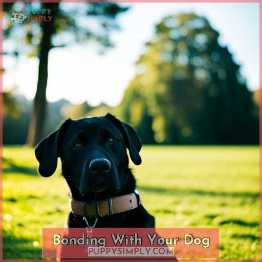 Bonding With Your Dog
