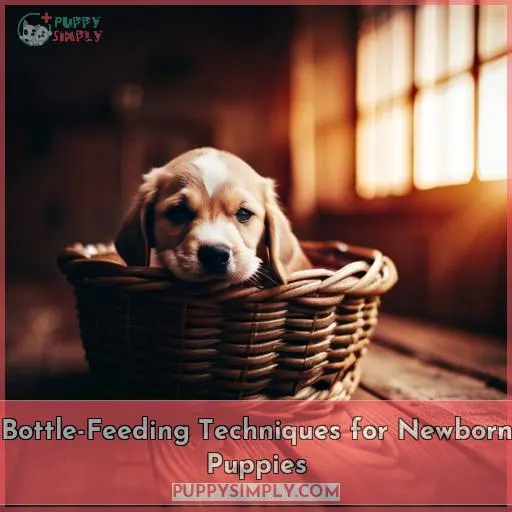 Bottle-Feeding Techniques for Newborn Puppies