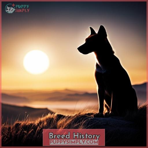 Breed History Breed History