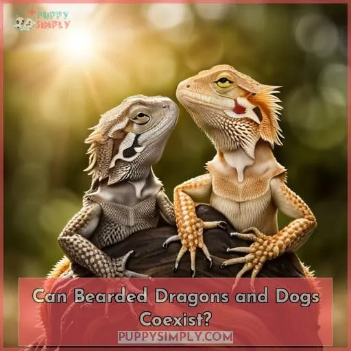 Can Bearded Dragons and Dogs Coexist?