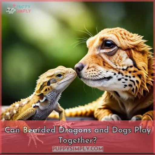 Can Bearded Dragons and Dogs Play Together?
