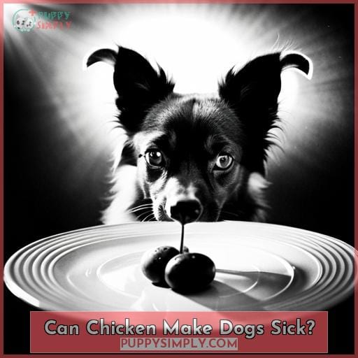 Can Chicken Make Dogs Sick?