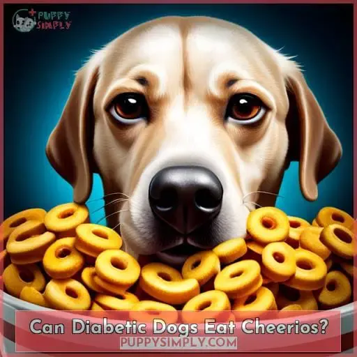 Can Diabetic Dogs Eat Cheerios?