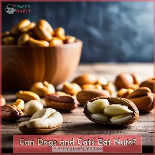 Can Dogs and Cats Eat Nuts