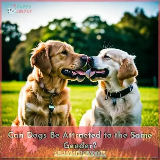 Can Dogs Be Attracted to the Same Gender