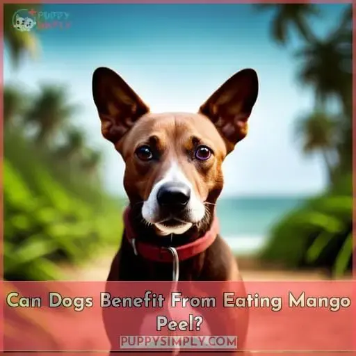 Can Dogs Benefit From Eating Mango Peel?