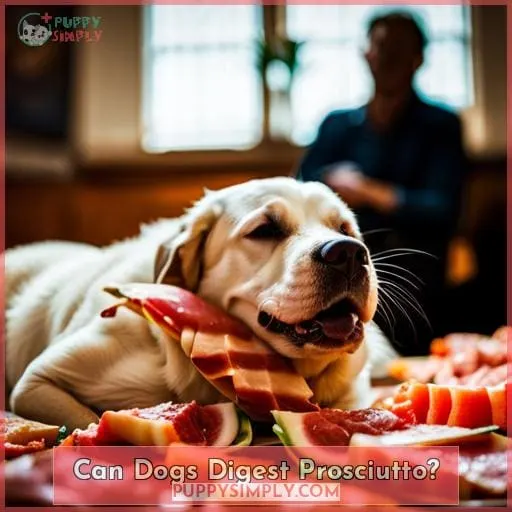 Can Dogs Digest Prosciutto?