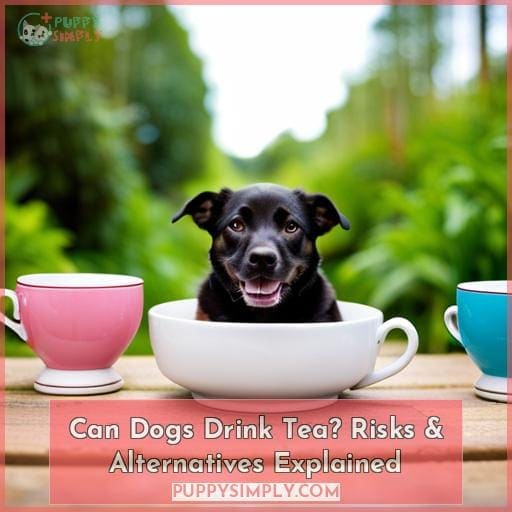 Can Dogs Drink Tea? The Risks and Benefits Revealed for Pet Owners