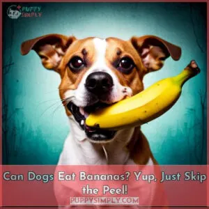 can dogs eat a banana peel