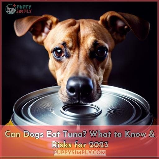 Can Dogs Eat Tuna? What You Need to Know About Feeding Tuna to Fido