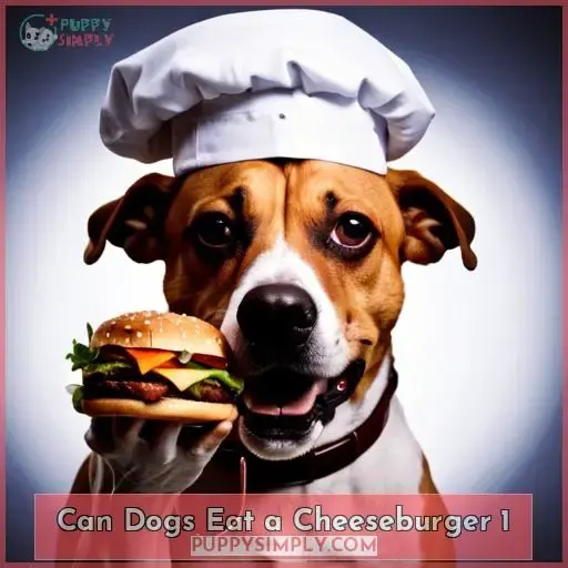 can dogs eat a cheeseburger 1