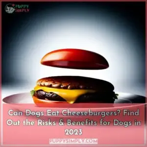 can dogs eat a cheeseburger