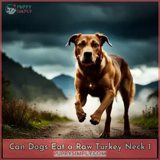 can dogs eat a raw turkey neck 1