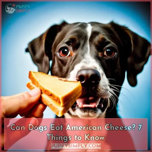 can dogs eat american cheese