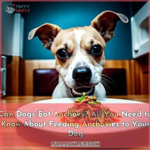 can dogs eat anchovy