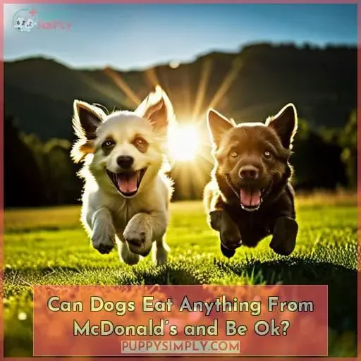 Can Dogs Eat Anything From McDonald’s and Be Ok?