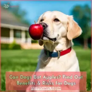 can dogs eat apples