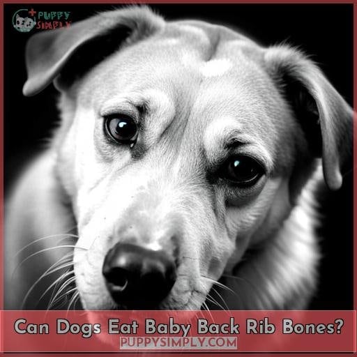 Can Dogs Eat Baby Back Rib Bones?