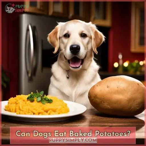Can Dogs Eat Baked Potatoes
