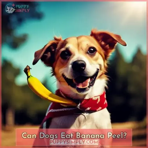 Can Dogs Eat Banana Peel?
