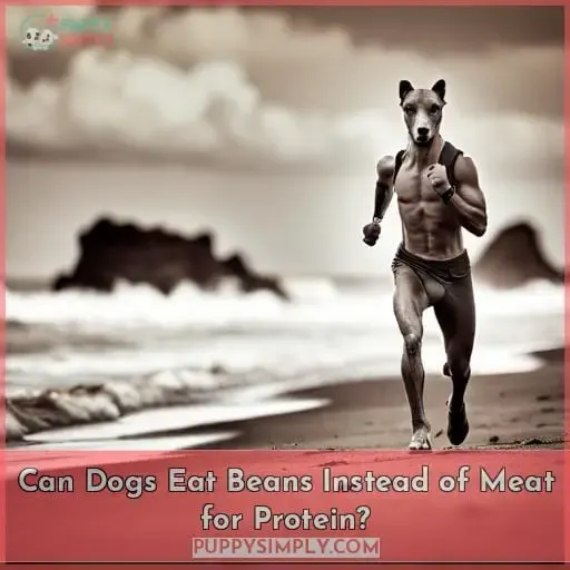 Can Dogs Eat Beans Instead of Meat for Protein?