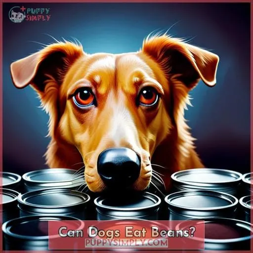 Can Dogs Eat Beans?