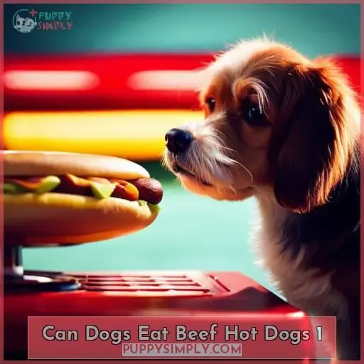 can dogs eat beef hot dogs 1