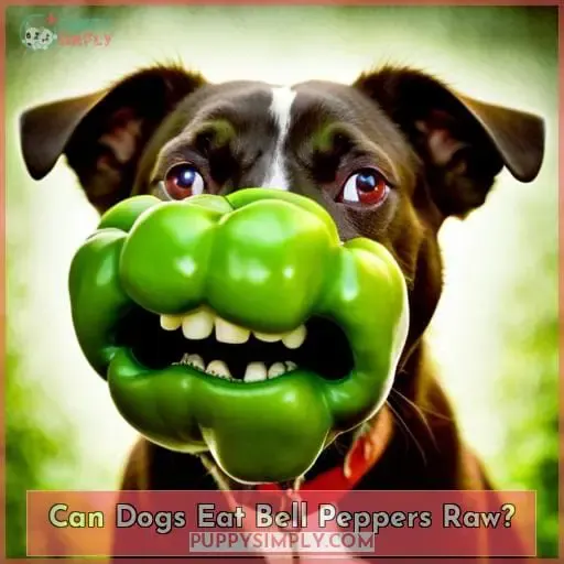 Can Dogs Eat Bell Peppers Raw?